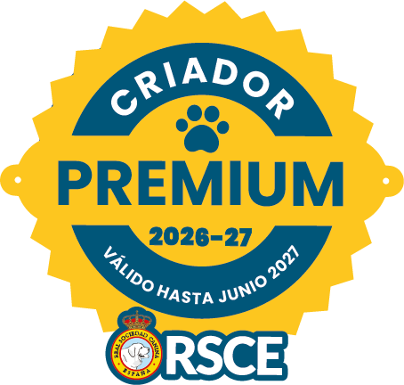 Vom Hause Neska obtiene el Sello de Criador Premium de la RSCE, un reconocimiento a nuestro compromiso con la salud, selección y calidad del Rottweiler.