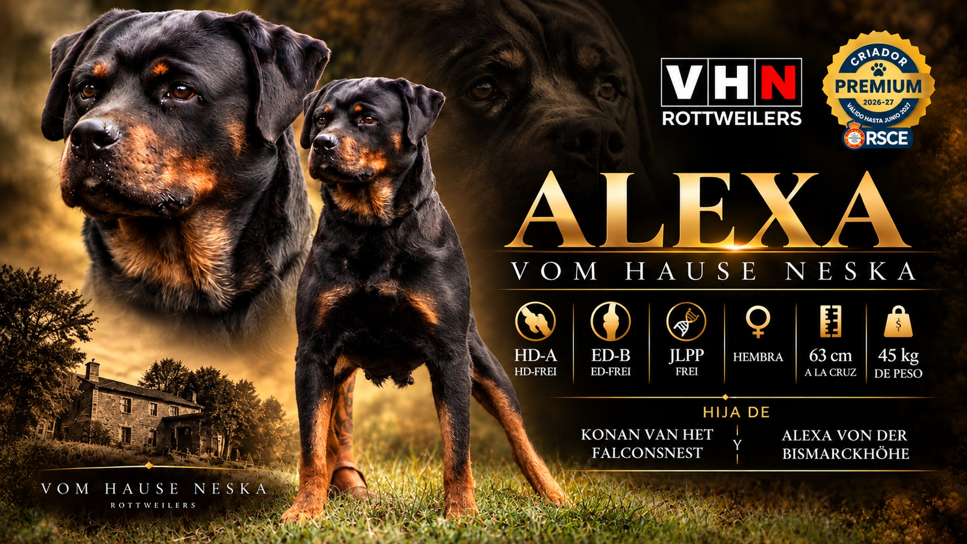 vhn-banner-alexa-hause-neska.jpg