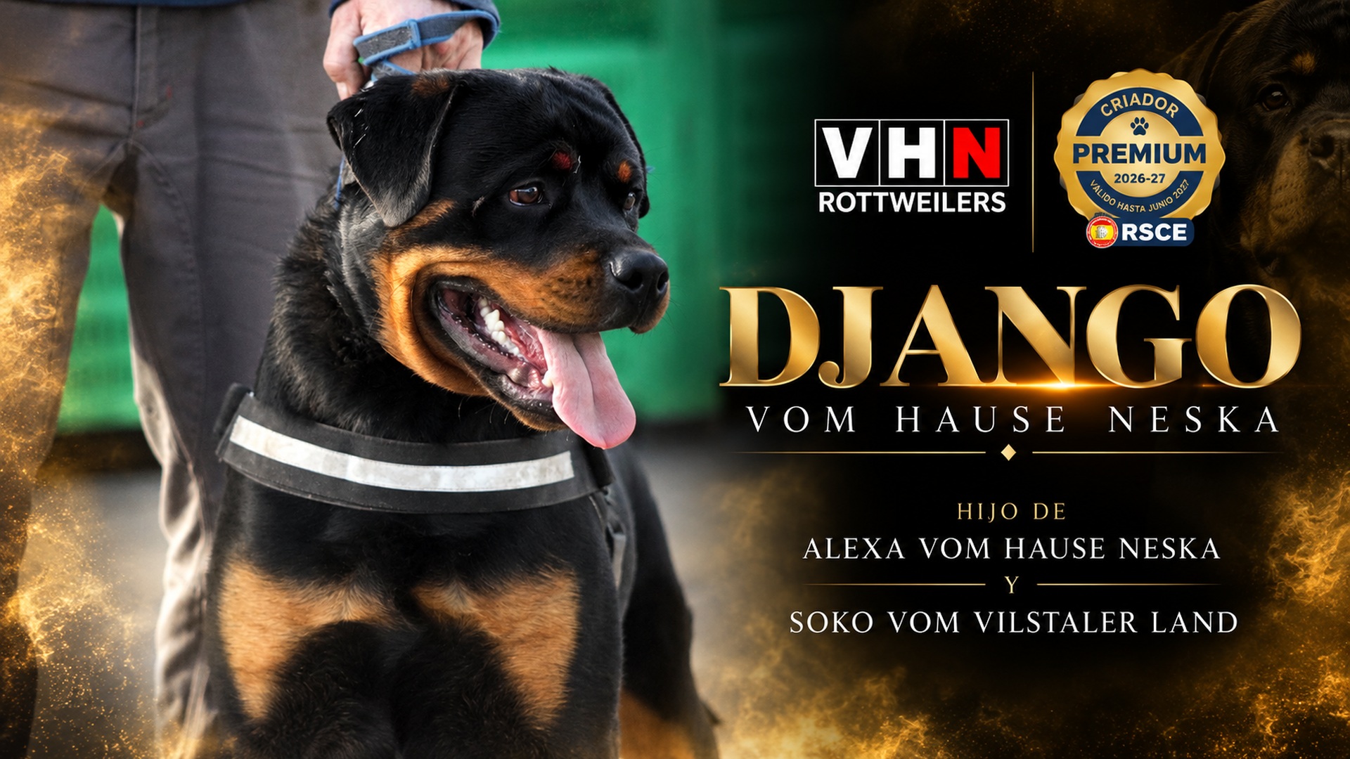 vhn-banner-django.jpg