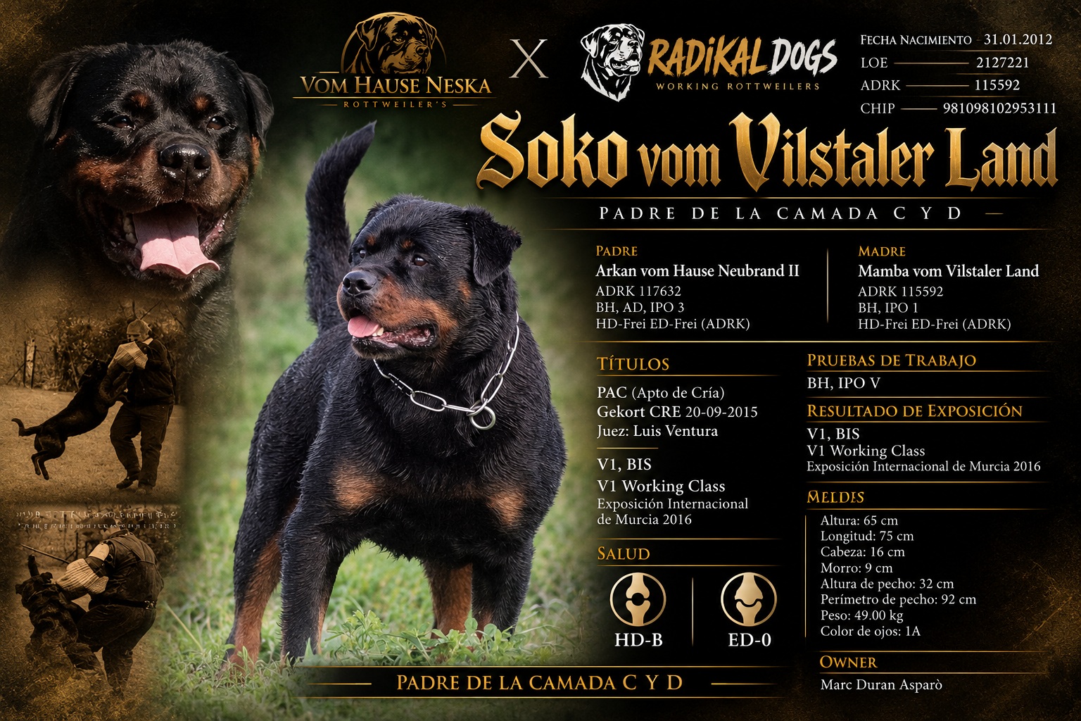 vhn-banner-soko.jpg